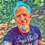 Dave the Punk – sunny stroll in ska-punk style