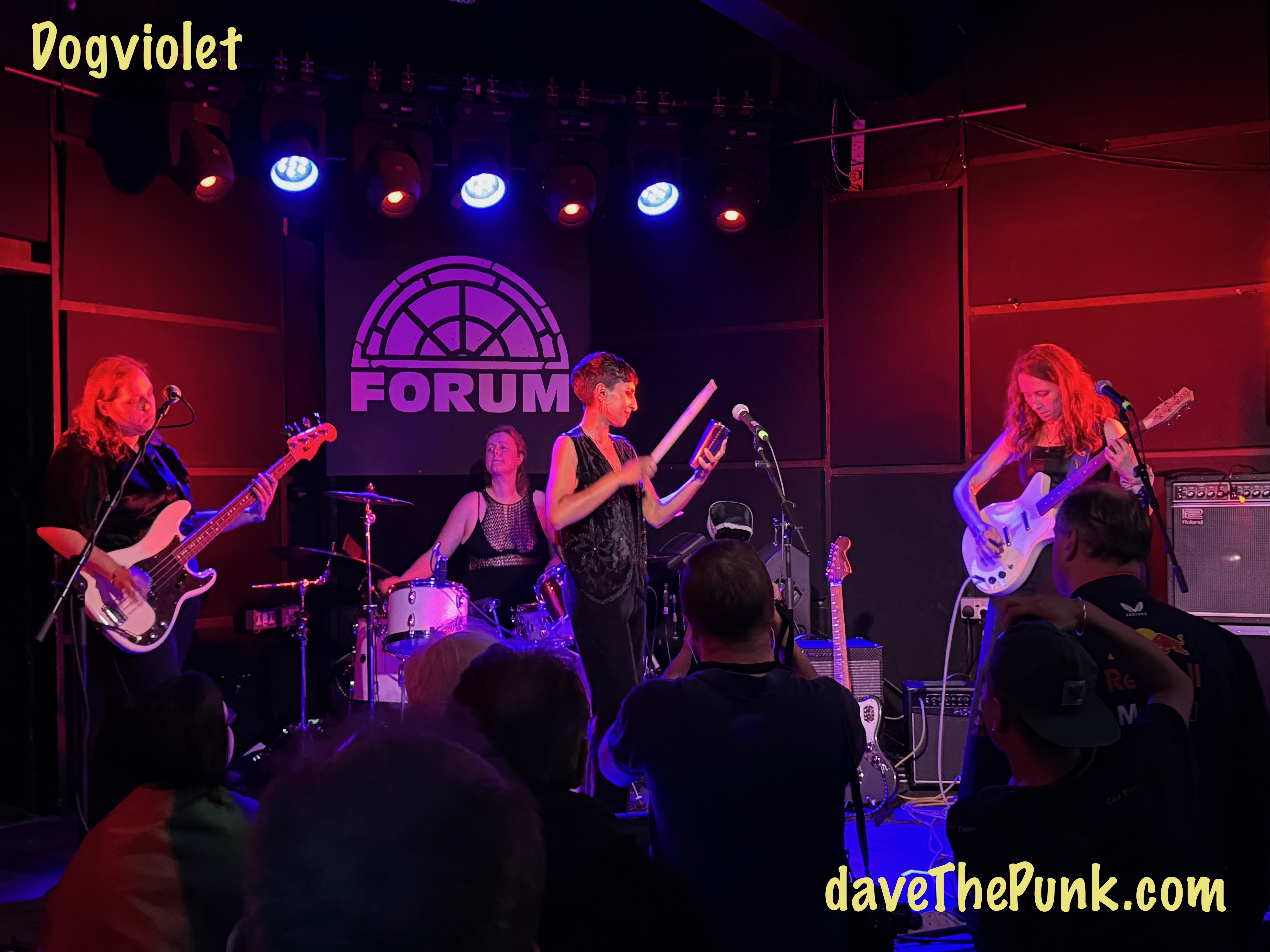 Dogviolet - The Forum, Tunbridge Wells - 11 June 2025