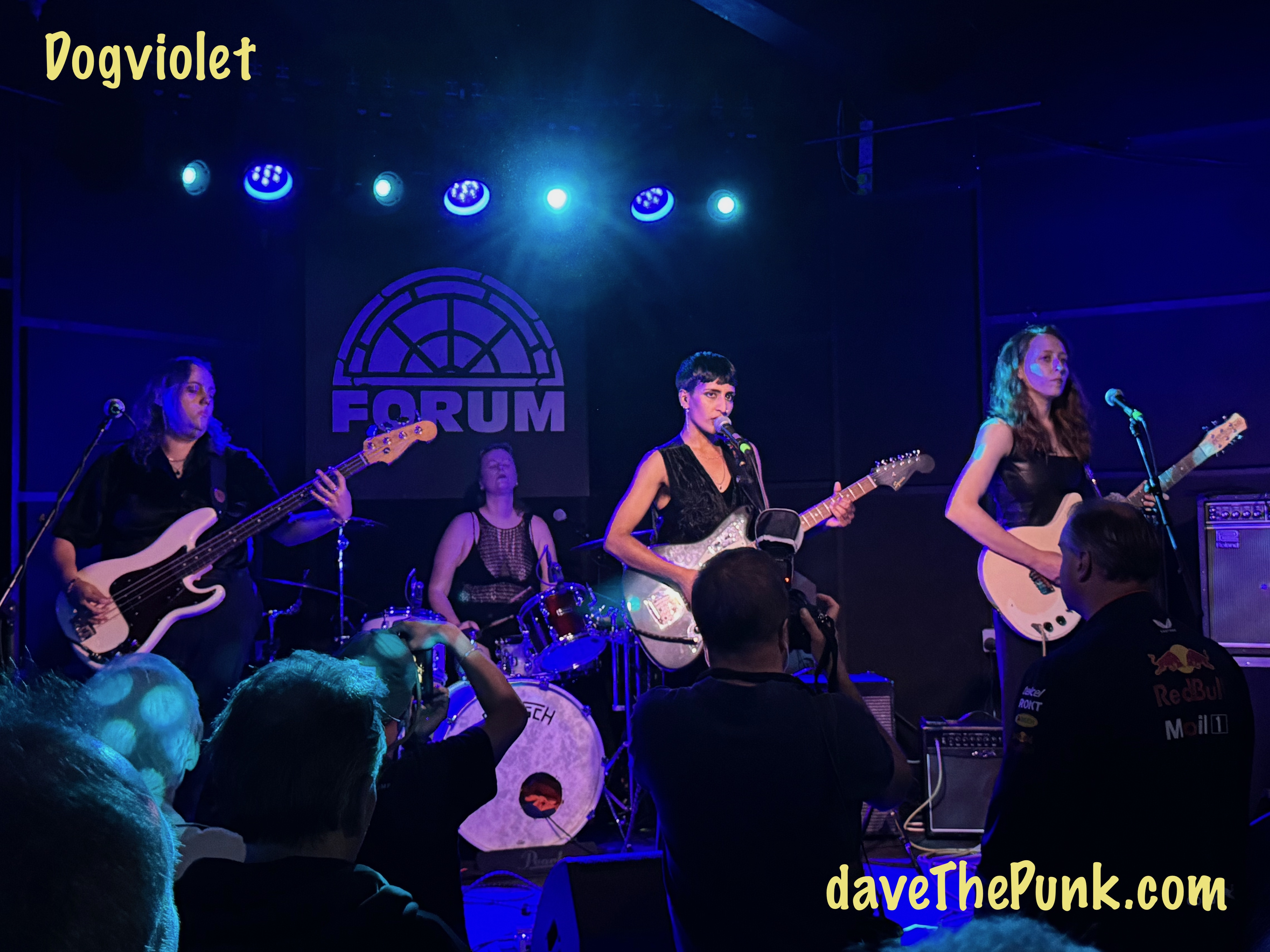 Dogviolet - The Forum, Tunbridge Wells - 11 June 2025