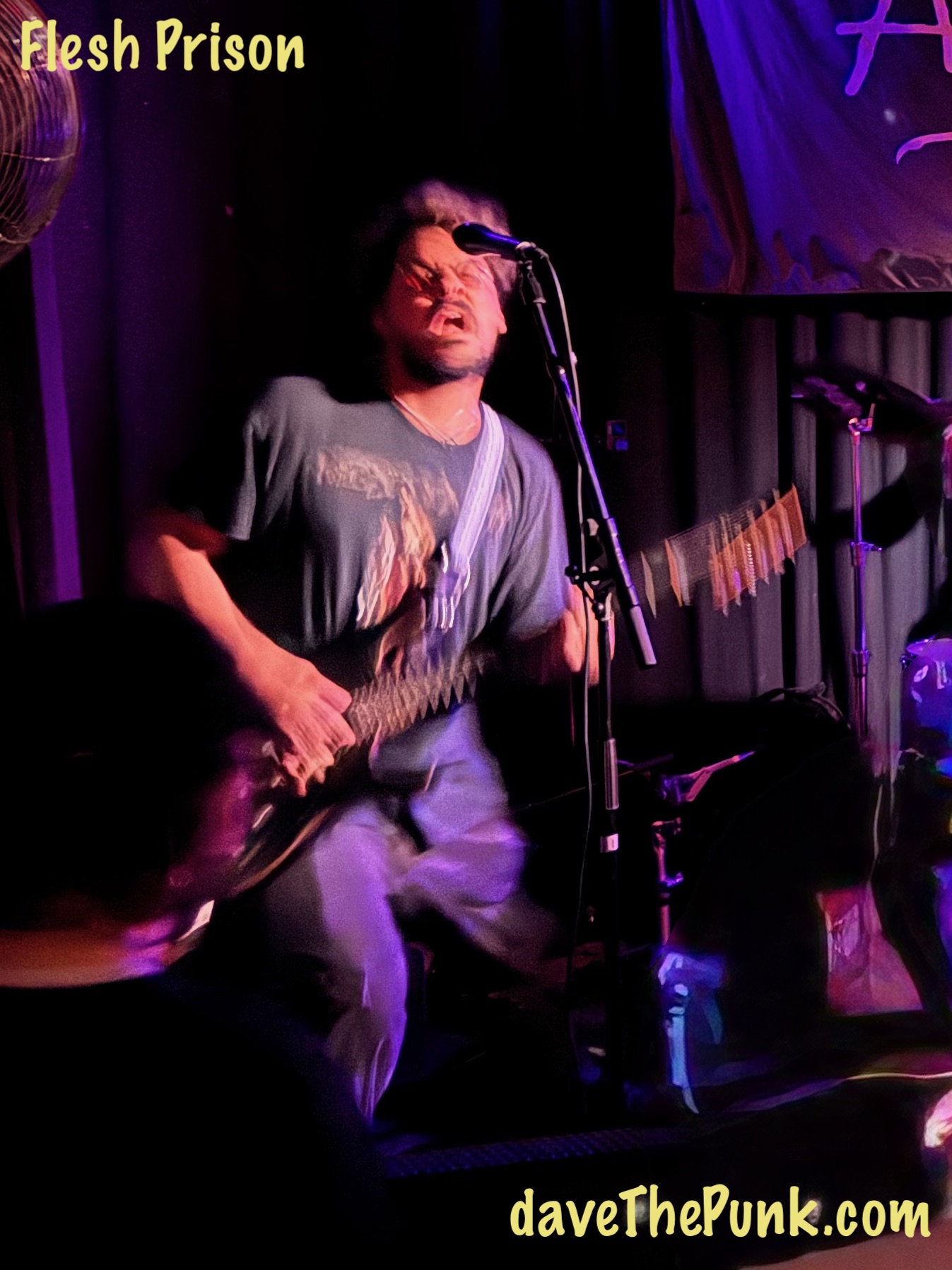 Flesh Prison - Prince Albert, Brighton - 31 July 2025